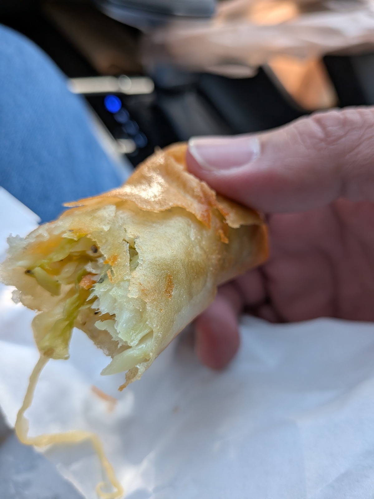 Veggie Egg Roll